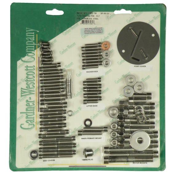 Motor screw set, polished ss allen