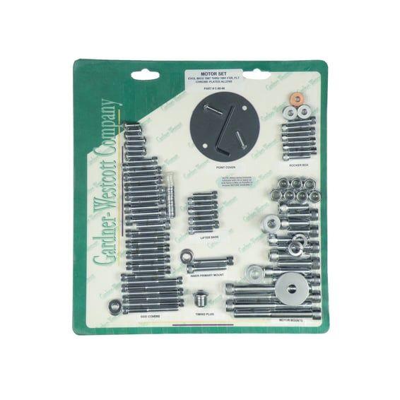 Motor screw set, chrome allen