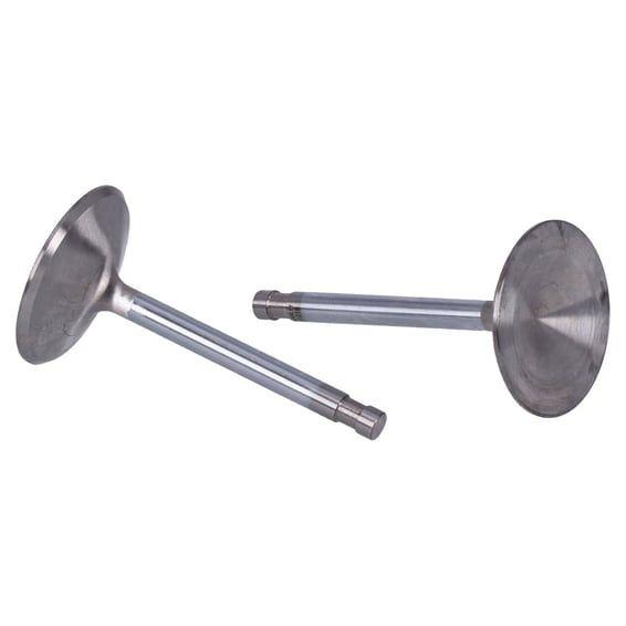 Severe Duty stainless valves, intake. STD