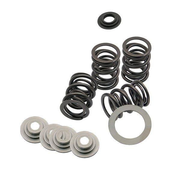 valve spring kit. STD to .480" valve lift