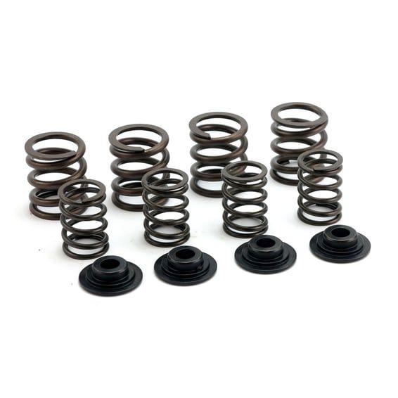valve spring kit. Std to .490" lift