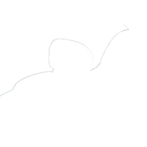 rider backrest cover/pouch. Standard Touring