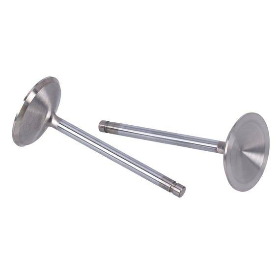 Severe Duty stainless valve, intake. Oversize