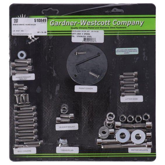 Motor screw set, polished ss allen