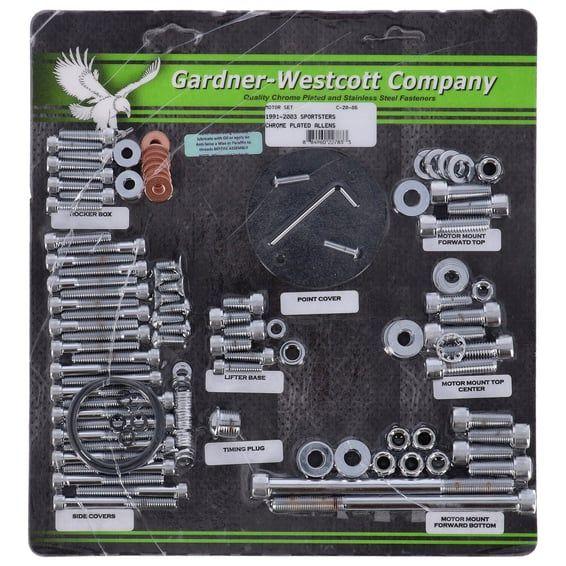 Motor screw set, chrome allen