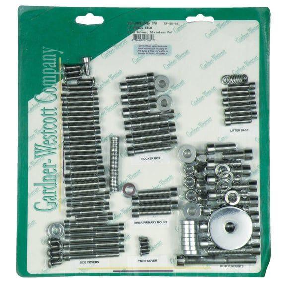 Motor screw set, polished ss allen