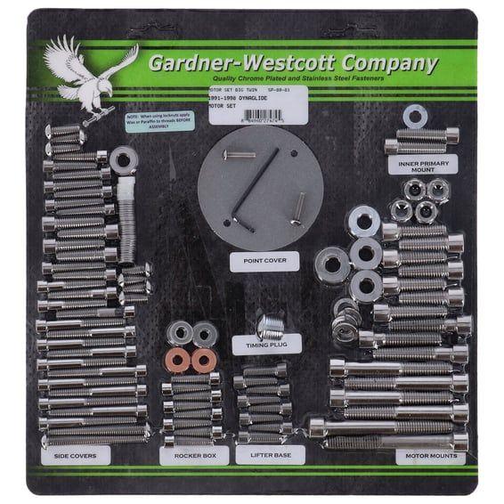 Motor screw set, polished ss allen