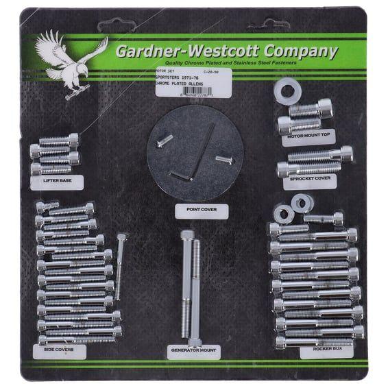 Motor screw sets, chrome allen