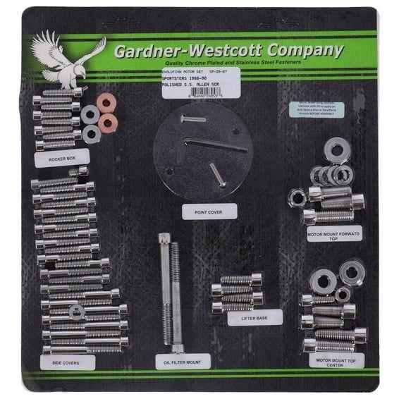Motor screw set, polished ss allen