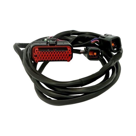 OEM Tour-Pak rear speaker harness