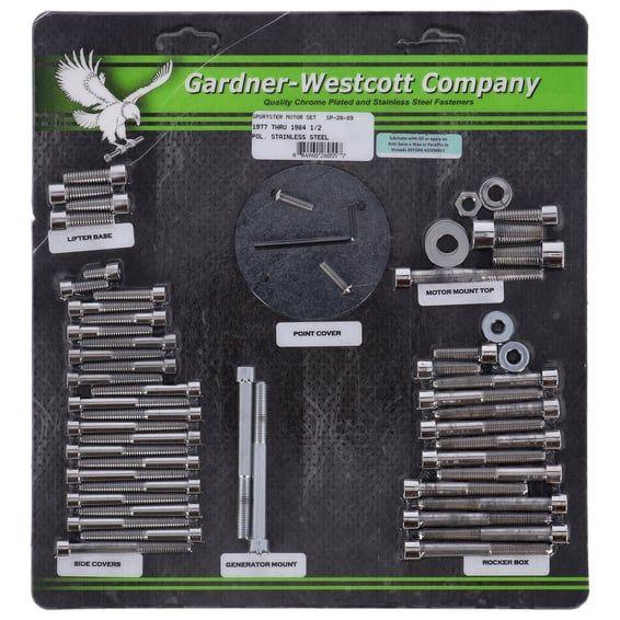 Motor screw set, polished ss allen