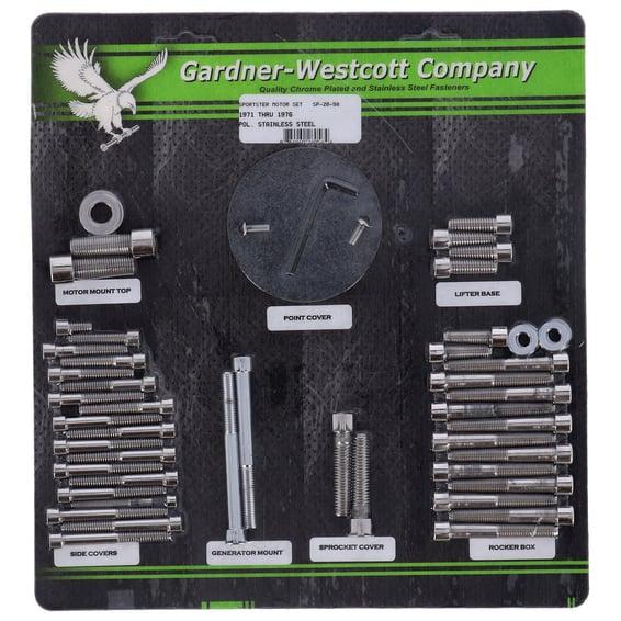 Motor screw set, polished ss allen