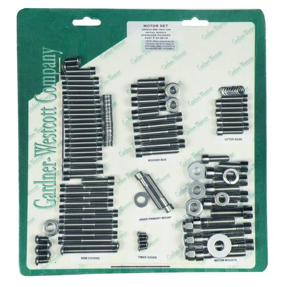 Motor screw set, polished ss allen