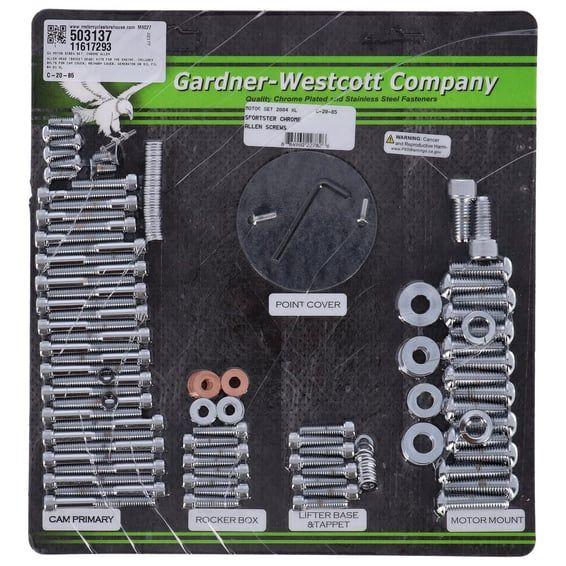 Motor screw set, chrome allen