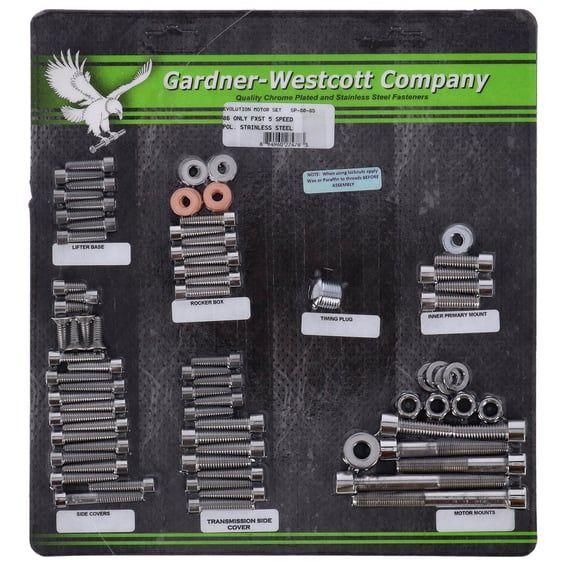 Motor screw set, polished ss allen