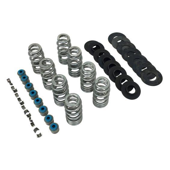 Endurance Beehive valve spring kit. 565" lift Re-us