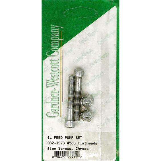 Oil feed pump screw set