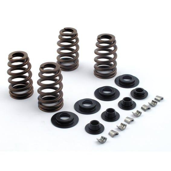JIMS, valve spring kit. Chromoly. .600" lift