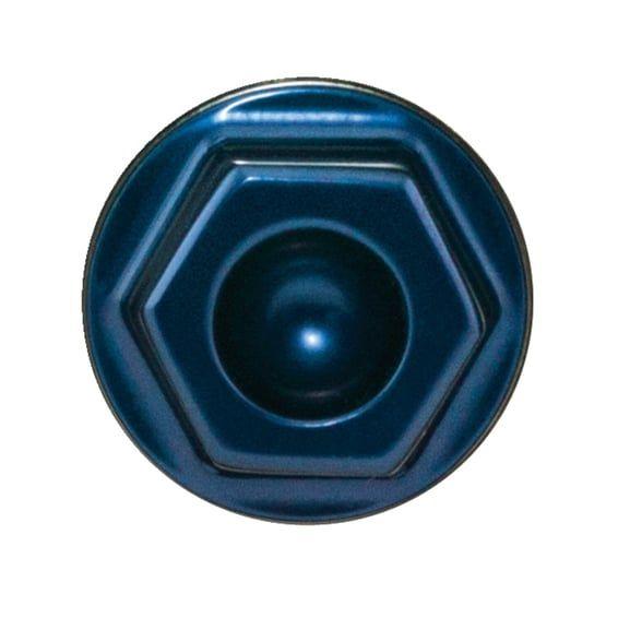 PM, Center bolt for vintage 4-p calipers. Blue