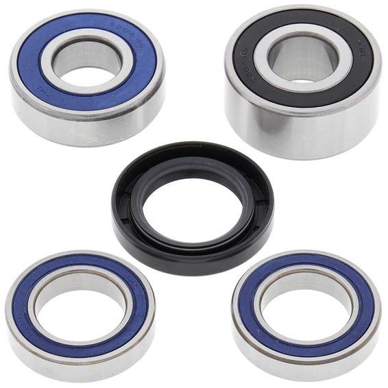 wheel bearing kit, rear
