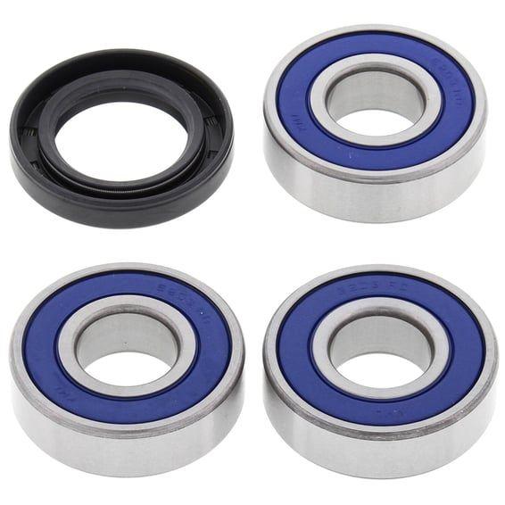 wheel bearing kit, rear