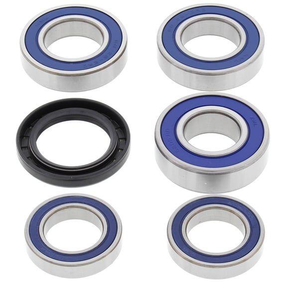 wheel bearing kit, rear