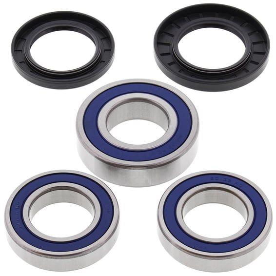 wheel bearing kit, rear