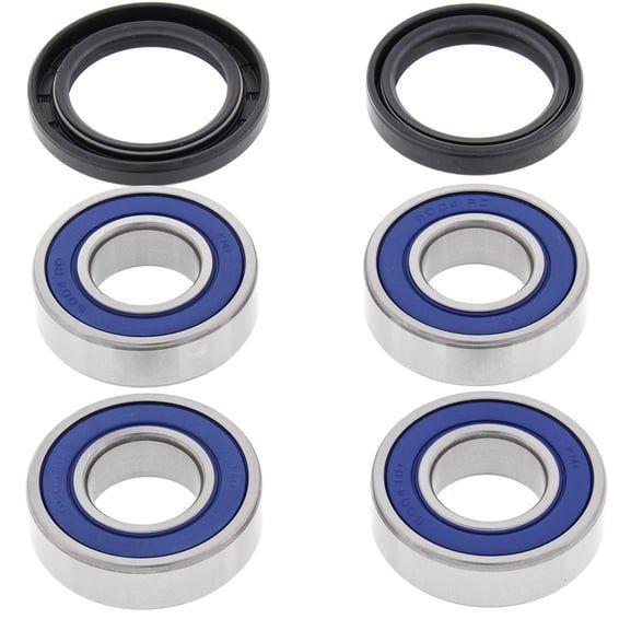 wheel bearing kit, rear