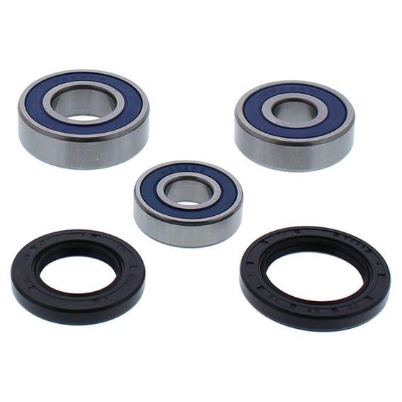 wheel bearing kit, rear