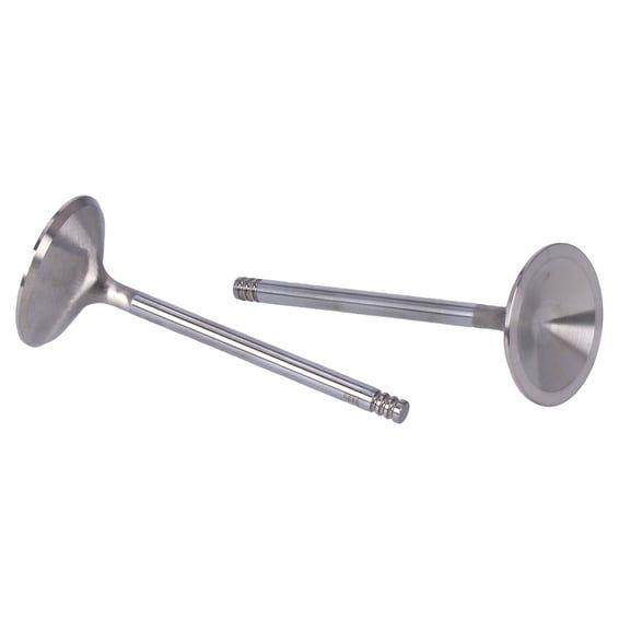 Race Master stainless valves, intake. STD