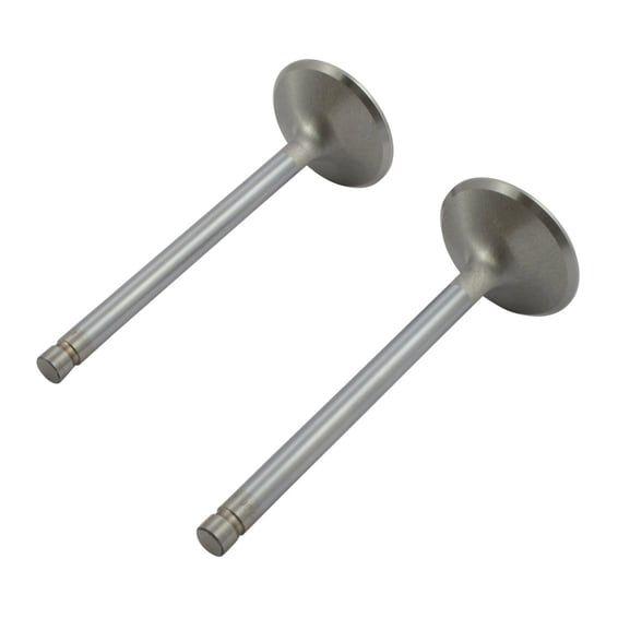 Severe Duty stainless valve, exhaust. STD