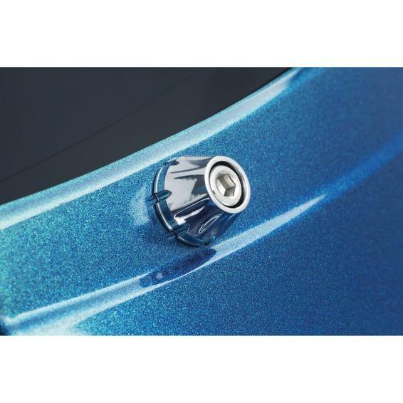 Decorative windshield screws