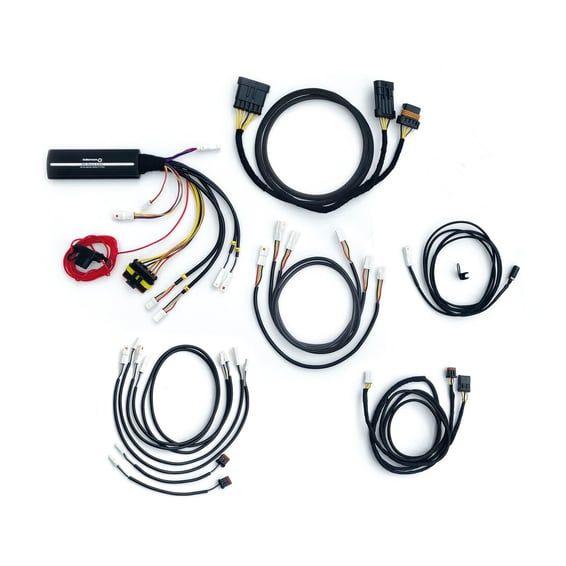 wiring harness for Dayron with turn signal