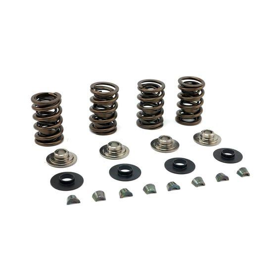 JIMS, valve spring kit. Titanium .675" lift