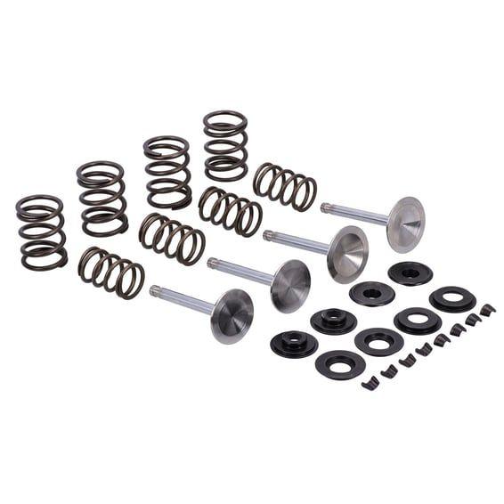 Race Master valve kit. Stock - .495" valve lift