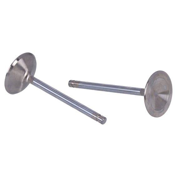 Race Master intake valve set. STD