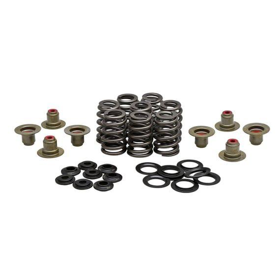 KPMI, .550" high lift valve spring kit. Steel