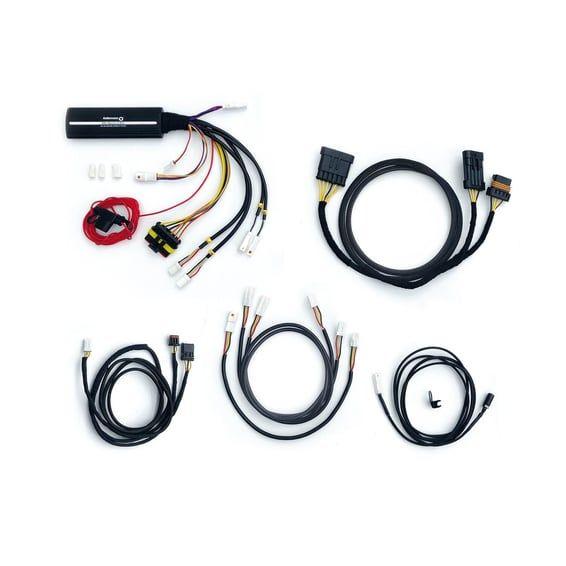 wiring harness for Dayron without turn signal