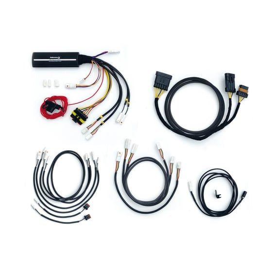 wiring harness for Dayron with turn signal