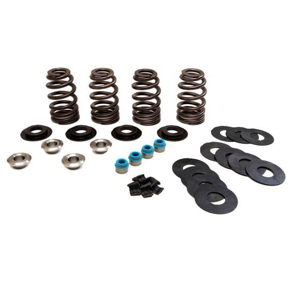 Econo beehive valve spring kit . 585" lift