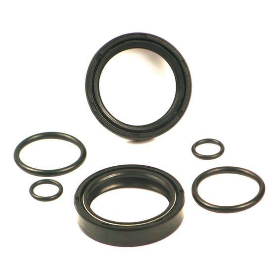 fork seal rebuild kit. 41mm