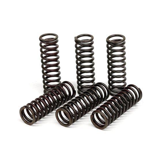 clutch spring kit