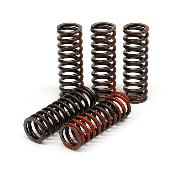 clutch spring kit