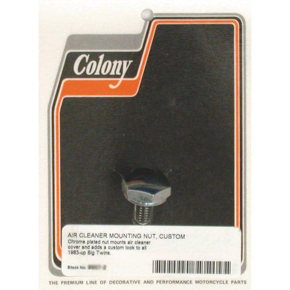 air cleaner cover mount bolt