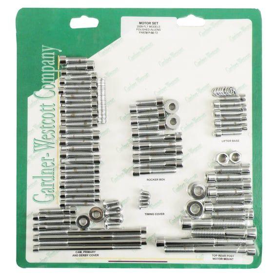 Motor screw set. Polished chrome allen