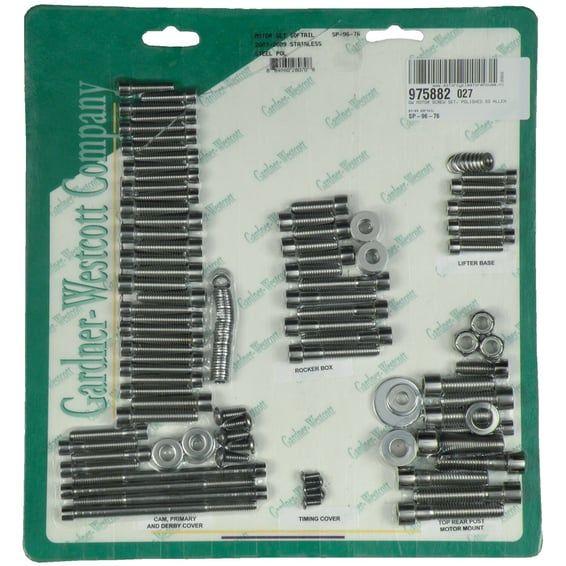 Motor screw set, polished ss allen