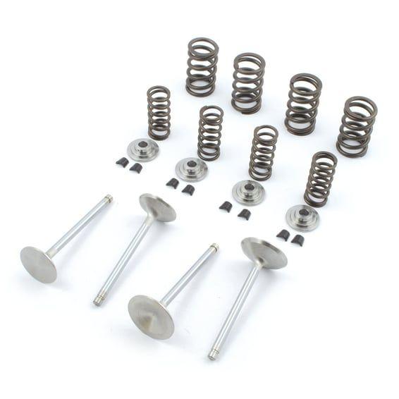 Race Master valve kit. .550" - .650" valve lift