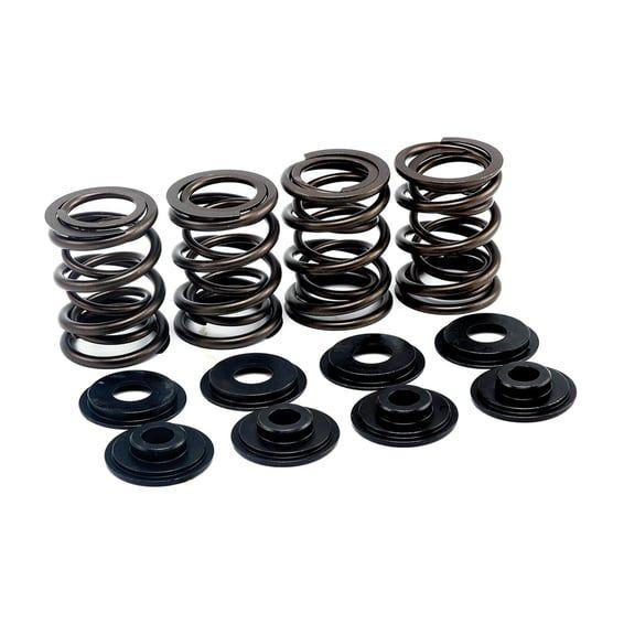 valve spring kit. Stock to .495" lift