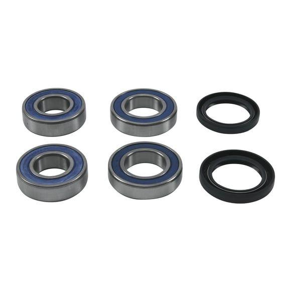 wheel bearing kit, rear