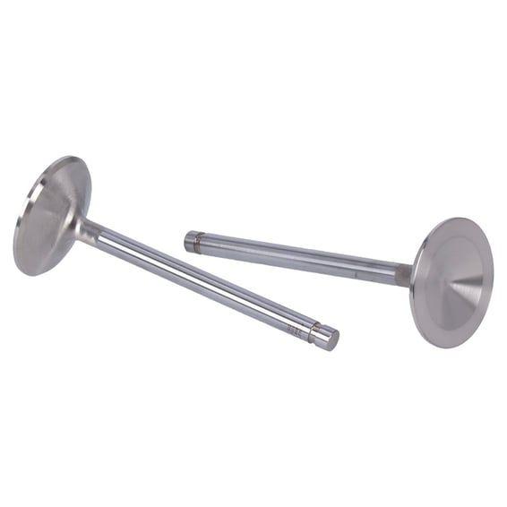 Severe Duty stainless valves, intake. STD